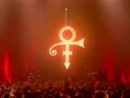 Prince - Pheromone  2