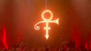 Prince - Pheromone  2