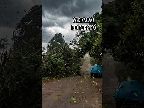 Rajadas Violentas: O Caos do Vento no Paraná! 🌪️