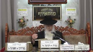 הרב דוד פחימה | הלכות| בית הכנסת מוסאיוף (בית הכנסת מוסאיוף) - התמונה מוצגת ישירות מתוך אתר האינטרנט יוטיוב. זכויות היוצרים בתמונה שייכות ליוצרה. קישור קרדיט למקור התוכן נמצא בתוך דף הסרטון