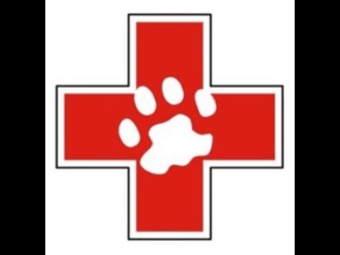 Lake Lavon Animal Hospital Recruitment