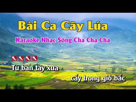 Bài Ca Cây Lúa Karaoke Nhạc Sống Minh Công