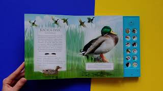 Vtáky voľnej prírody - videoukázka