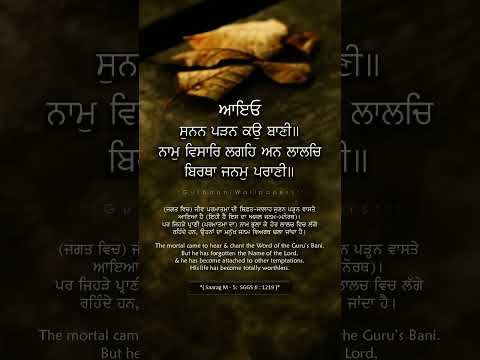#youtubeshorts #motivation #sahibji #dhangurunanak #prabhatferi #sikhcelebration #singh