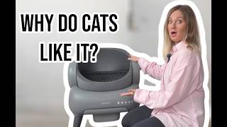 The Self-Cleaning Litter Box Cats Don't Refuse — Neakasa M1 Plus Honest Review