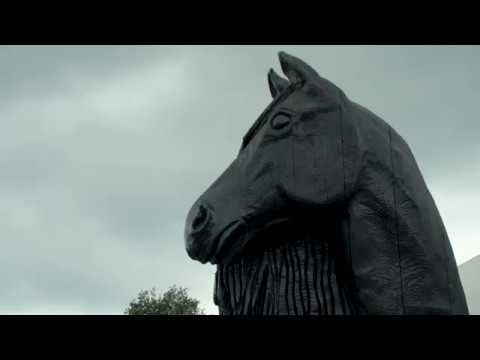 Fokdag &quot;Wolvega e.o.&quot;