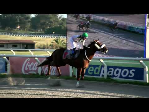 210129 c10 - BAG BIG - HIPODROMO LAS PIEDRAS