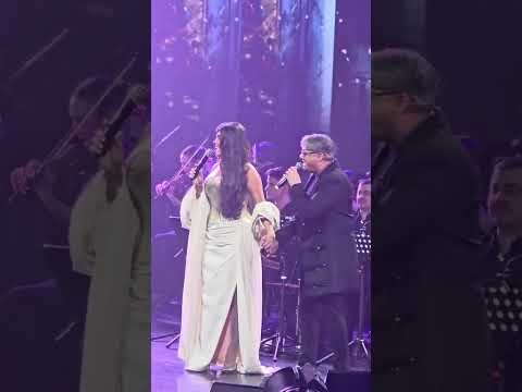 Paula Seling și Fuego-Impodobeste, mama, bradul