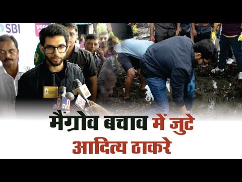 Beach Cleaning by Aaditya Thackrey