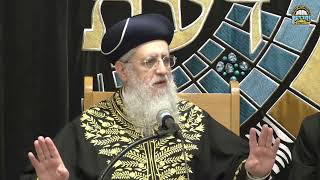 קישוט בתי הכנסת בחג השבועות I מרן הראשון לציון הגאון רבי דוד יוסף שליט"א#הרב_דוד_יוסף#הלכה