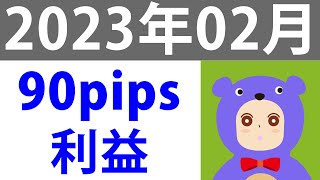 90.9pipsの利益でした！月間のトレード実況と振り返りー2023年02月