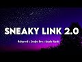 Hxlywood X Soulja Boy X Kayla Nicole Sneaky Link 2 0 Lyrics Tiktok Songs