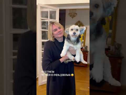 Подстригли