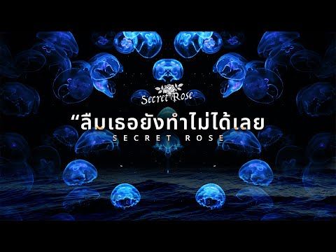 Secret Rose - ลืมเธอยังทำไม่ได้เลย ( Offcial Music Video )