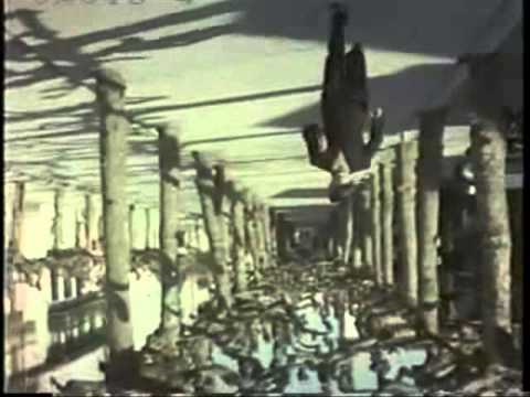 Pacific Gas & Electric Company  - Mother, Why Do You Cry? 1970