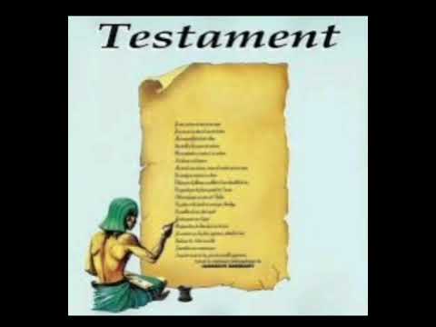 CAMÉLÉON par Aimé ELANGUI