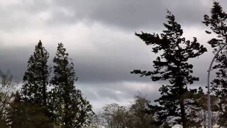 preview picture of video 'Moderate Windstorm of 02 Apr 2010 as viewed From Surrey, BC'
