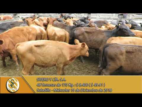 19-12-18 Venta de Hembras - Sivero y Cía. S.A. - Saladillo