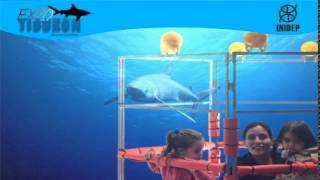 DIA 2 Expo Tiburon225