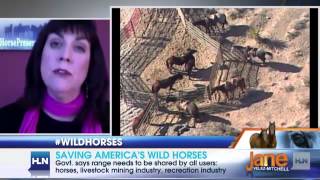 Saving America&#39;s wild horses