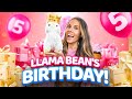 Llamabeans 5th Birthday Party SURPRISE