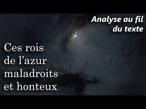 BAUDELAIRE 🔎 Les Fleurs du Mal - L'Albatros (Analyse au fil du texte du poème)