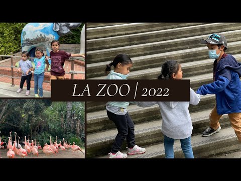Family trip to the LA Zoo! Adrians first time going 🦒🐘