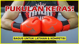 TERBARU! 10 Rekomendasi SARUNG TINJU TERBAIK 2025 – Murah, Kuat & Nyaman Dipakai Latihan