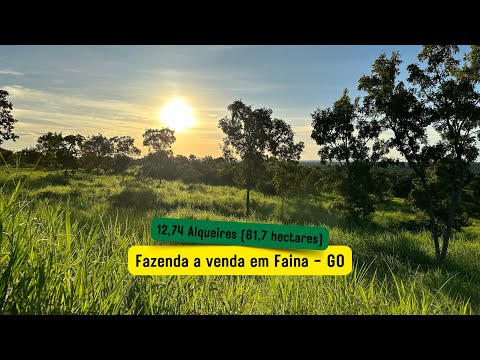 Fazenda a venda em Faina - GO                #fazenda #pecuaria #lazer