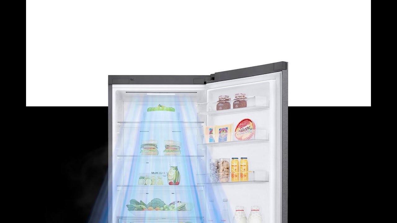 Двокамерний холодильник LG GA-B509MMQZ video preview