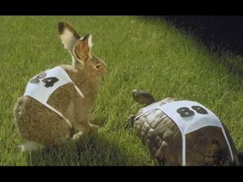 Crux & Krafto - Kornjaca je bila brza nego zeka (Serbian Rap)