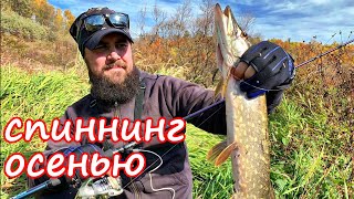 Мальчики увлекались не охотой а рыбалкой