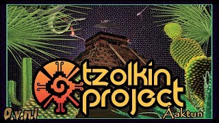 Tzolkin Project Feat Angry Luna - Balaam - 190 (OVNI Records Hitech)