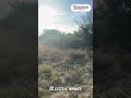Видео превью