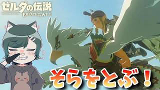 名作「ブレスオブザワイルド」を勉強しようぜ！～それいけ！そらをとぶ！！～『ゼルダの伝説ブレスオブザワイルド』（再編集版）♯ 23