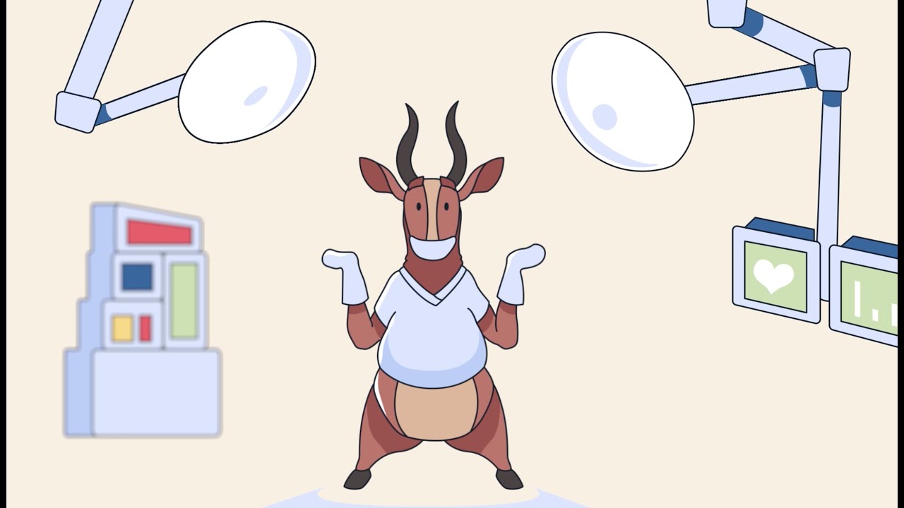 Human Relating: Seeing & Being Seen as a Fellow Human Being-Establishing a Compassionate Connection