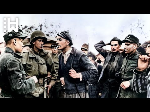 Erschießung von SS-Wachen bei Vergeltungsaktionen während der Befreiung des KZ – Massaker von Dachau