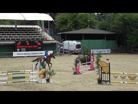 Ece Janset Genel - Gorsinaa