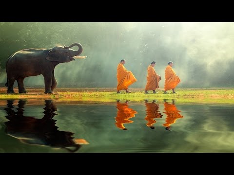 download lagu mp3 mp4 Tranquil, download mp3 Tranquil free download mp3, download mp3 Tranquil