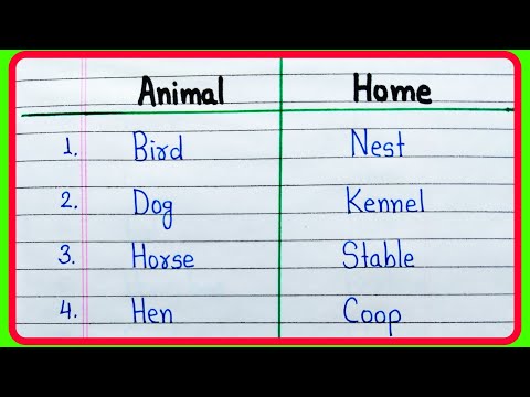 20 Animals and their homes | Animals and their homes name | Home of Animals in English