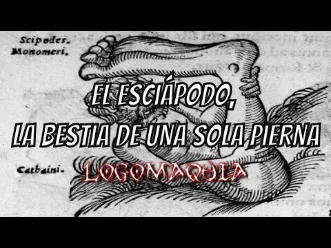 Lyambliya primi sintomi Da vermi per bambini di pyranbodies