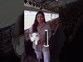 Usha Fans A Wide Range Of Fans