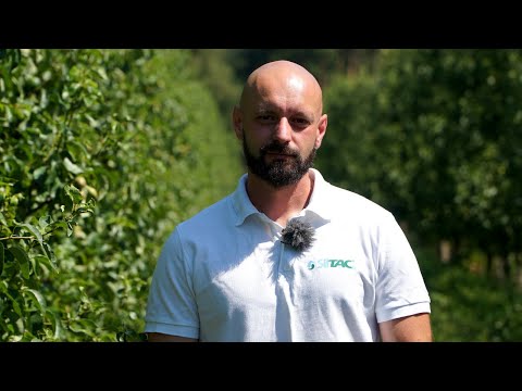 Jak radzić sobie z presją miodówki gruszowej – Krzysztof Łęgocki, ICB Pharma, 27.06.2022