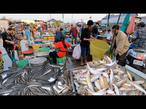 Cambodian Wholesale Fish Market - Massive Distribution Market & People's Daily Life | Food Market