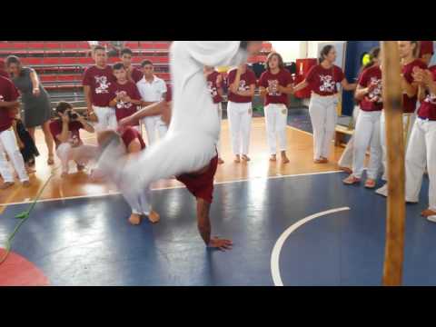 M. Ivan e c.m revivo cdo israel