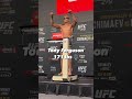 El Cucuy with the signature shades weighs in at 171 pounds ?