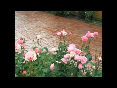 Beton Amprentat Forosig Tel.0761350488 Bihor,Austria,Ungaria,Serbia