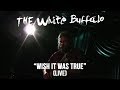 The White Buffalo - Wish It Was True [Live] 