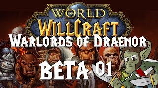 Warlords of Draenor Beta, part 1 - The Soul Fuselage