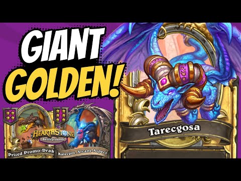 Golden Tarecgosa is a VERY BIG DRAGON.